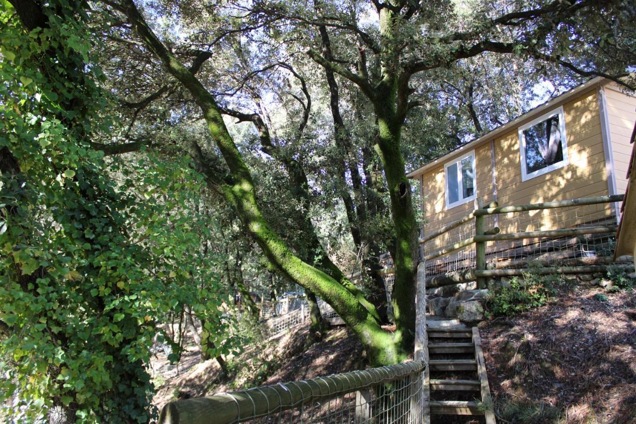 Le Domaine Du Naizadou Chalet Lou Grilh Villa La Barriére Exterior photo